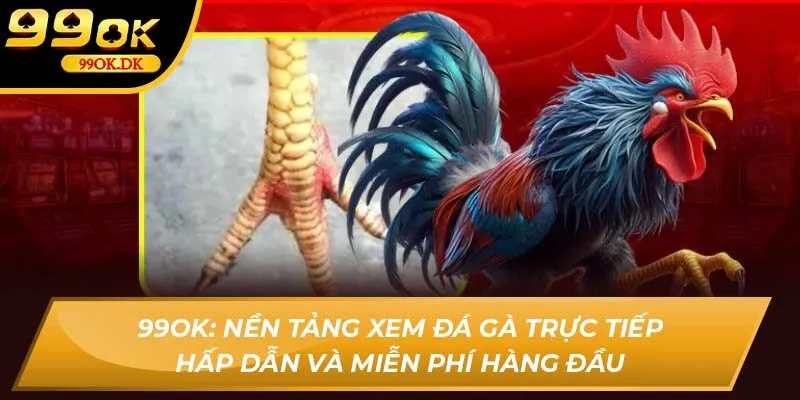99OK: Nền tảng xem đá gà trực tiếp hấp dẫn và miễn phí hàng đầu