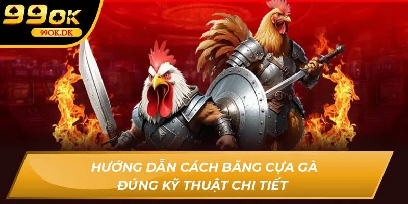 Hướng dẫn cách băng cựa gà đúng kỹ thuật chi tiết 