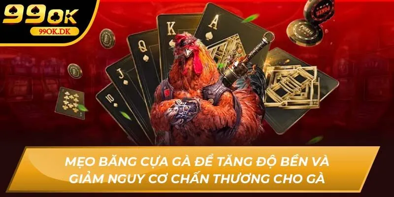 Mẹo băng cựa gà để tăng độ bền và giảm nguy cơ chấn thương cho gà