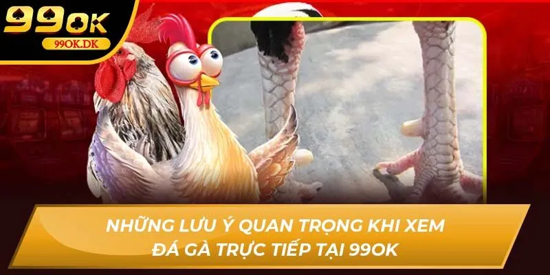 Những lưu ý quan trọng khi xem đá gà trực tiếp tại 99OK